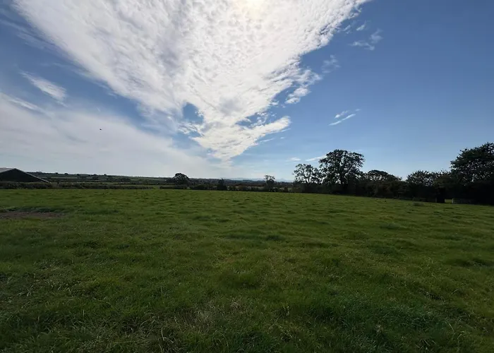 بيت شباب Hillside Farm